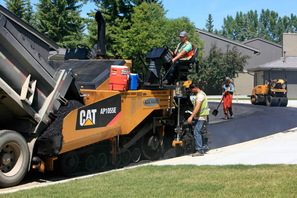 Best Local Driveway Pavers  in Holtville, AL